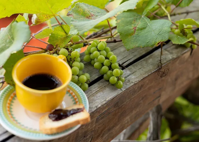 Feiticeira GuesthousePousada